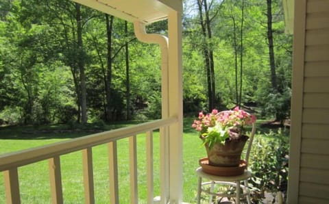 View of the river from the front porch.