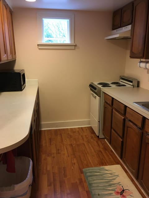 Furnished alley kitchen