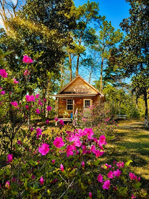 Magnolia Cabin