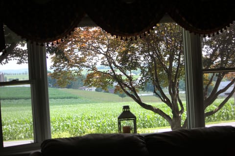 View from our living room bay window.