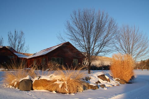 "Tally Ho" in Winter.