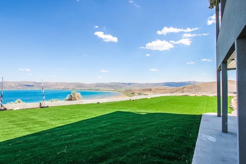 astro turf back yard