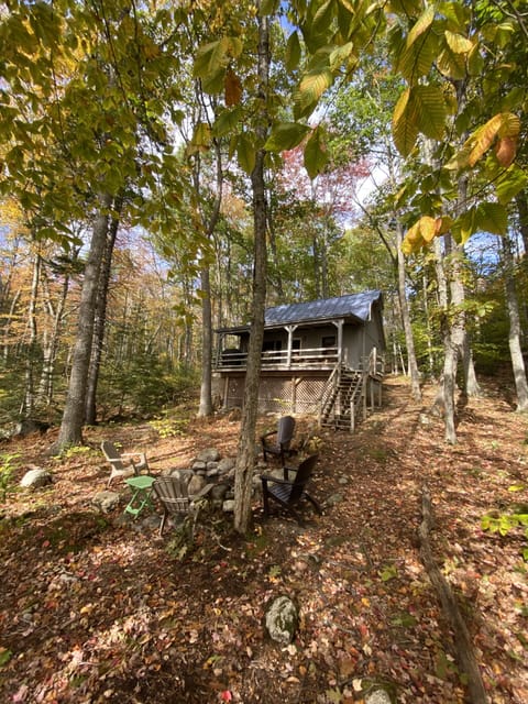 Cabin and fire pit in the fall
