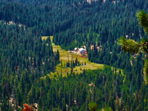 Annie's Piggly Pines from Needle Rock Ridge
