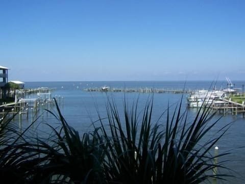 Imagine yourself on your own private balcony. Palm trees swaying..........