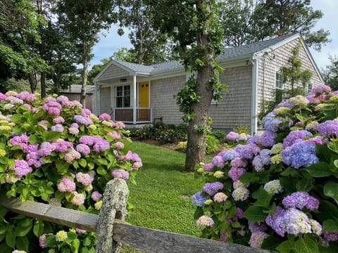 Front view one, June 2024
