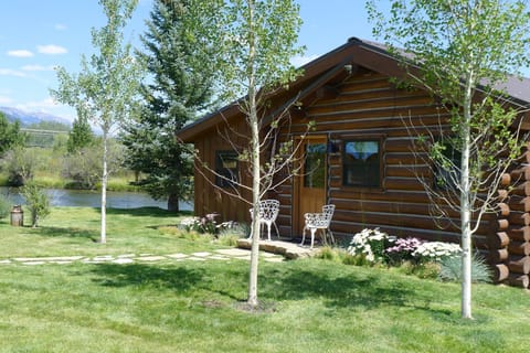 Cabin 4