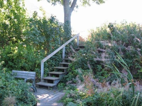 Stairs down the hill