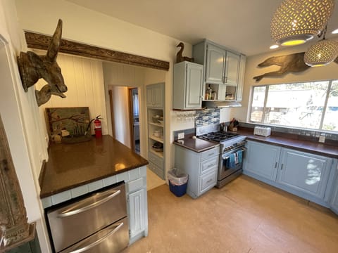 Kitchen with refrigerator drawers and lots of counter space 