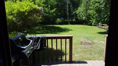 view from 3 season porch into backyard