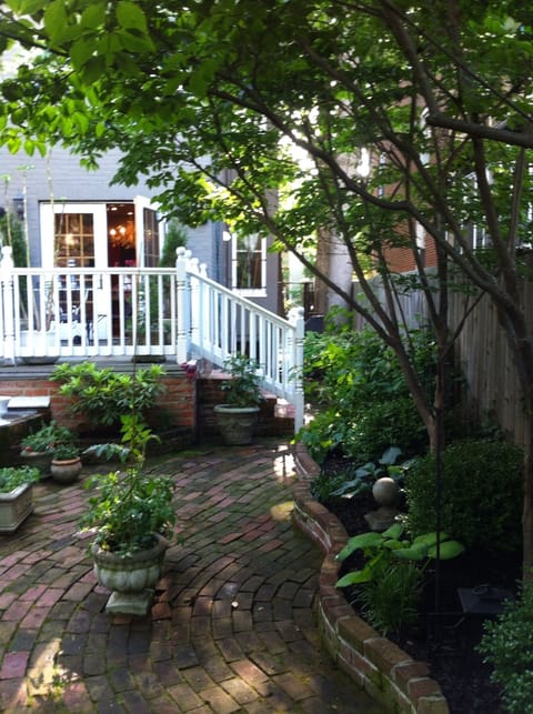 Lush back patio with dogwood canopy