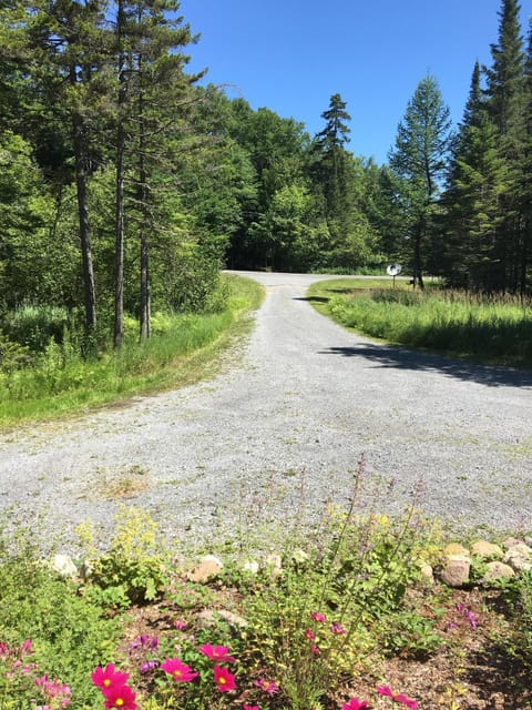 Gardens & long driveway to Big Moose Rd.