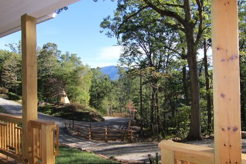 View of Snookville and the Blue Ridge mountains from the porch