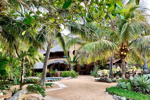 Beachfront Yard