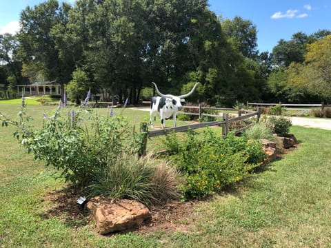 You are greeted by a lovely butterfly garden & longhorn at the driveway entrance