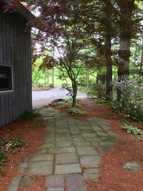 View to the driveway