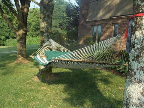 Hammock for use