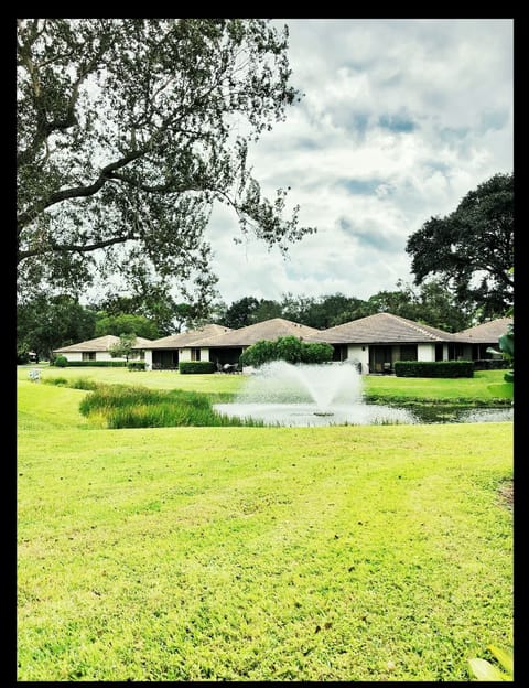 View from the Patio!