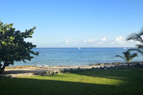 blue ocean awaits