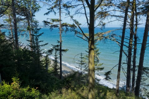 View toward Port Angeles, seven miles west