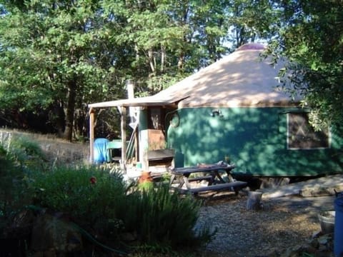 Taste the magic of peaceful living in the round at the Yuba Yurt