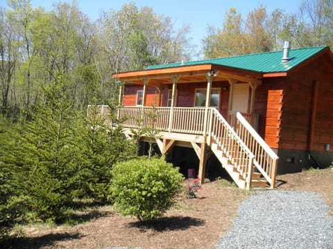 Relax and Enjoy the View