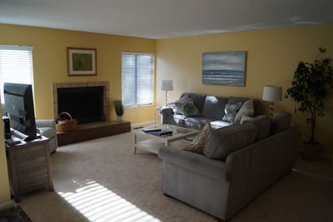 Living Room w/ Sleep Sofa