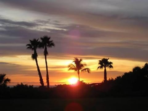 Sunset View