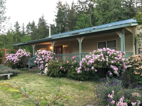 Front yard and covered porch