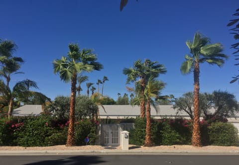 Private, unassuming, on a wide smooth street, surrounded by lovely homes 👌🏻