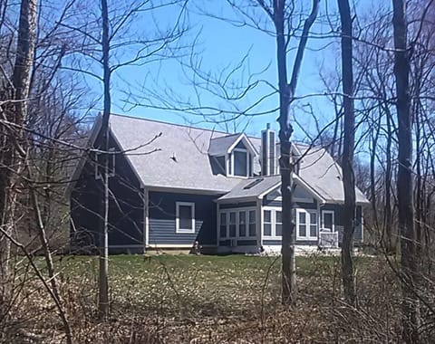 Back yard & back of house