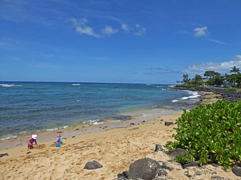 Lawai beach - excellent snorkeling one minute walk from the condo