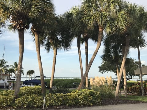 View of Windward Bay grounds