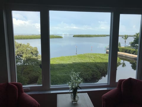 View from the Living Room