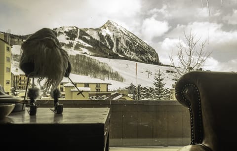 View from back porch