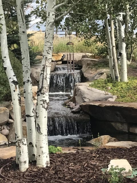 Wonderful water feature next to the organic garden.