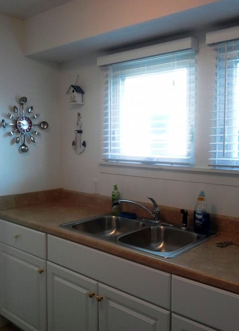 Sink side of new kitchen.