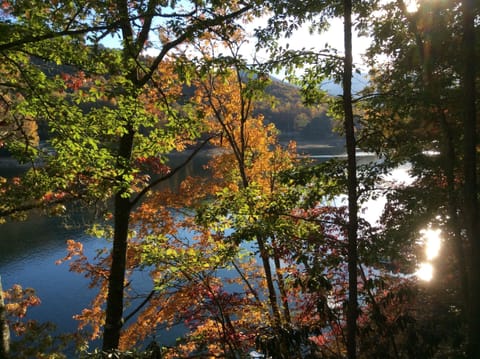 Amazing views overlooking Lake Nantahala just footsteps below. 
