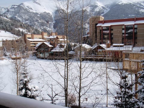 Winter View from our Large Balcony of West Lake.
