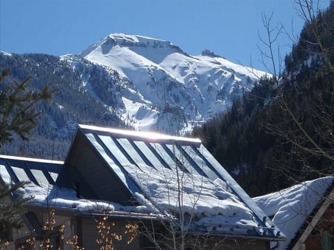 Ballard Mountain view from patio