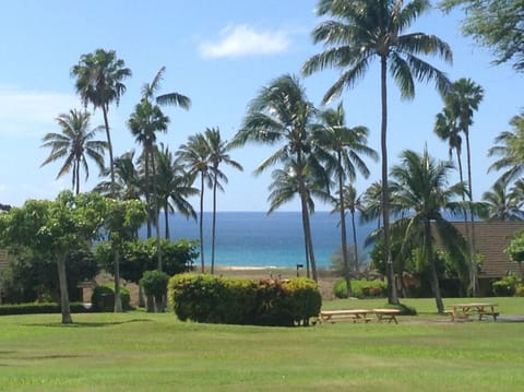 View from condo lanai