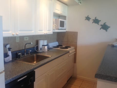 Fully equipped kitchen with dishwasher and all you will need for great meals.