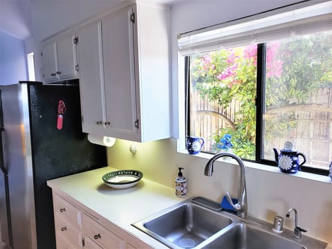 Stainless steel sink, double, dish soap provided, as well as dishwasher soap
