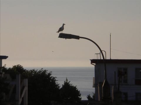 Eastern view from the apartment