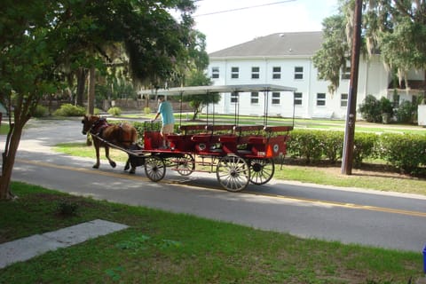 One of the horsedrawn carriages available for tours of Beaufort.  