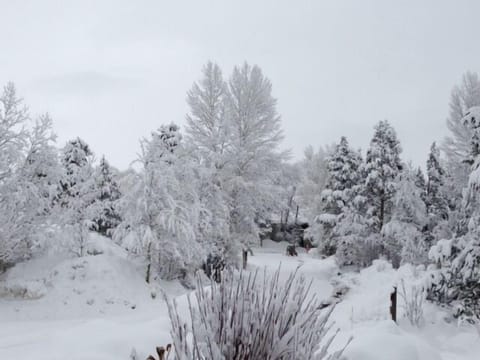 Winter wonderland in Jackson Hole