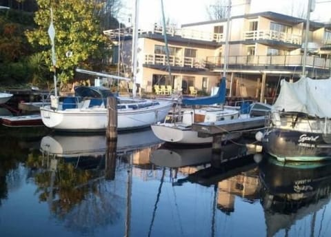 View of the house from the marina