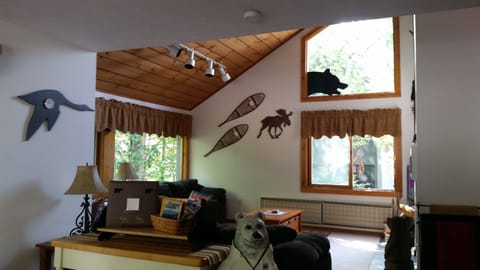 Comfortable family room with plenty of seating - 2 couches & leather lounge