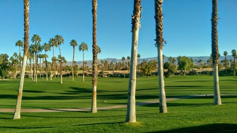 View from golf course patio
