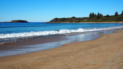 Easy walk to Cookies' Beach